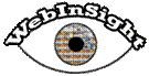 The WebInSight eye logo.